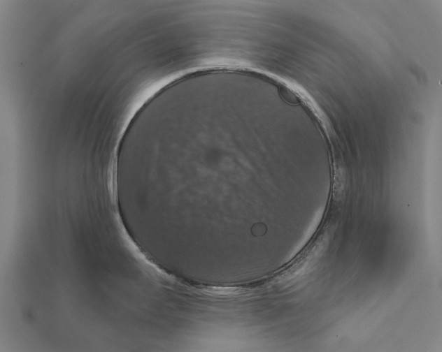 X0000111581295200908131311