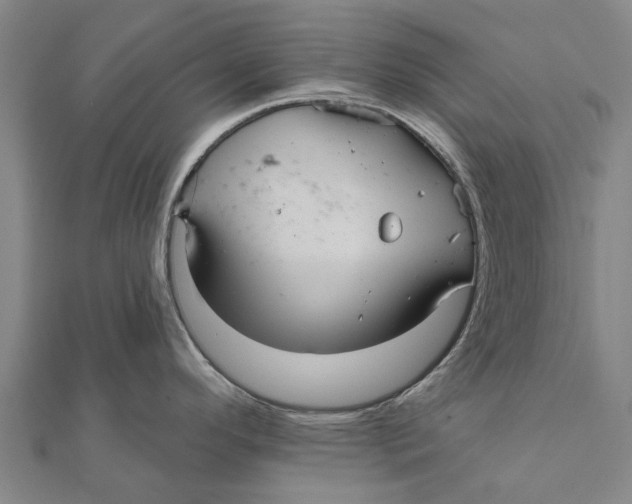 X0000111581296200908131311