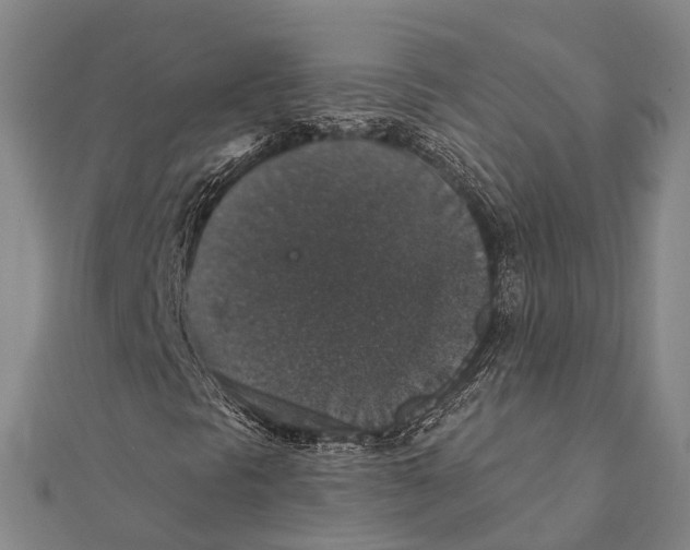 X0000111581297200908131310