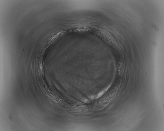 X0000111581298200908131310