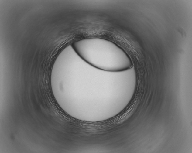 X0000111581300200908131310