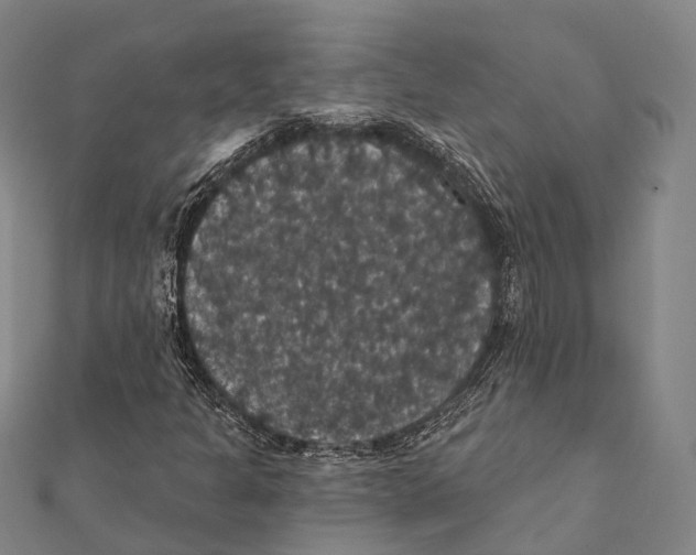 X0000111581301200908131310