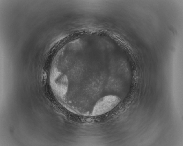 X0000111581302200908131310