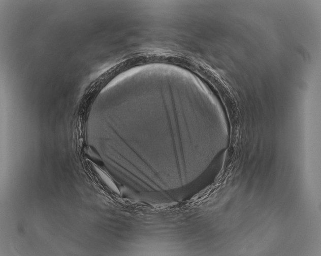 X0000111581303200908131310