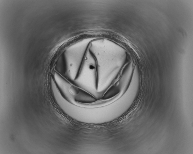 X0000111581304200908131310