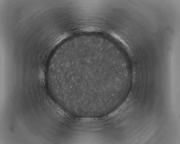 X0000111581305200908131310