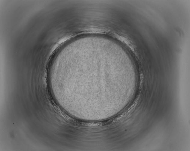 X0000111581307200908131310