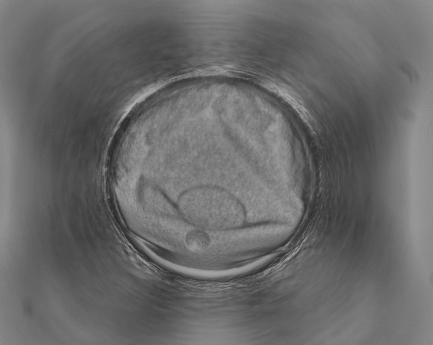 X0000111581308200908131310