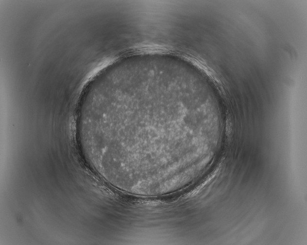 X0000111581309200908131310