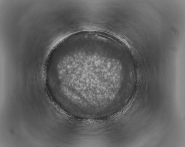 X0000111581311200908131310