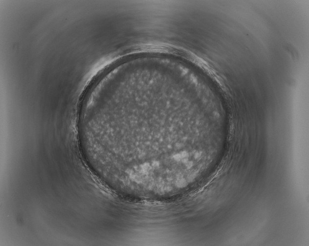 X0000111581312200908131310