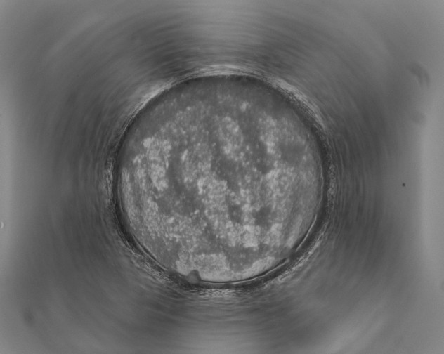 X0000111581313200908131310