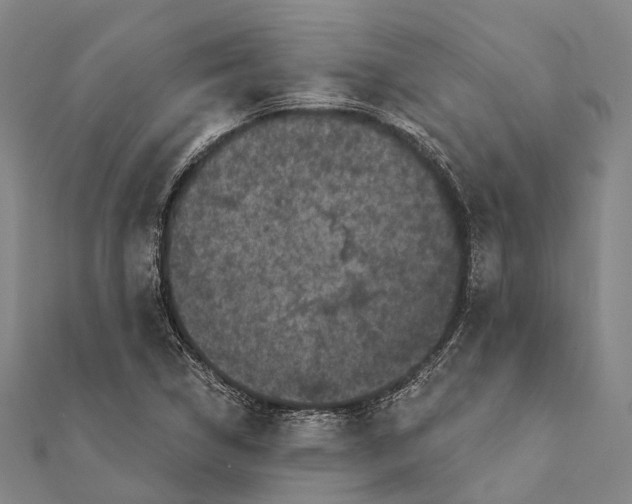 X0000111581314200908131310