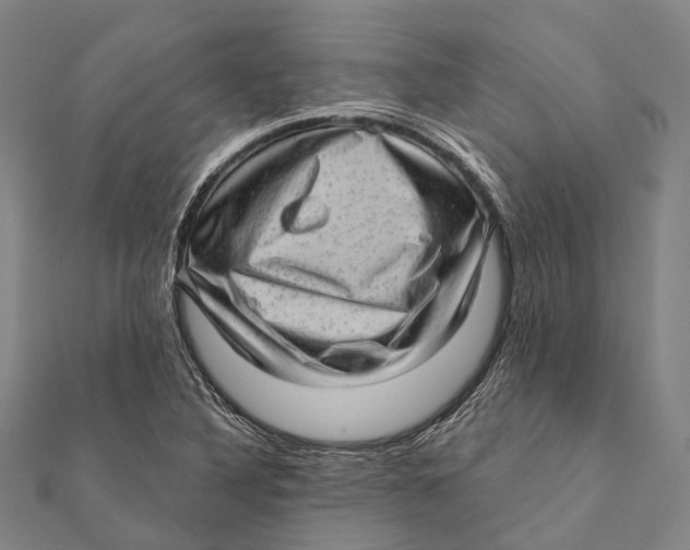 X0000111581316200908131310