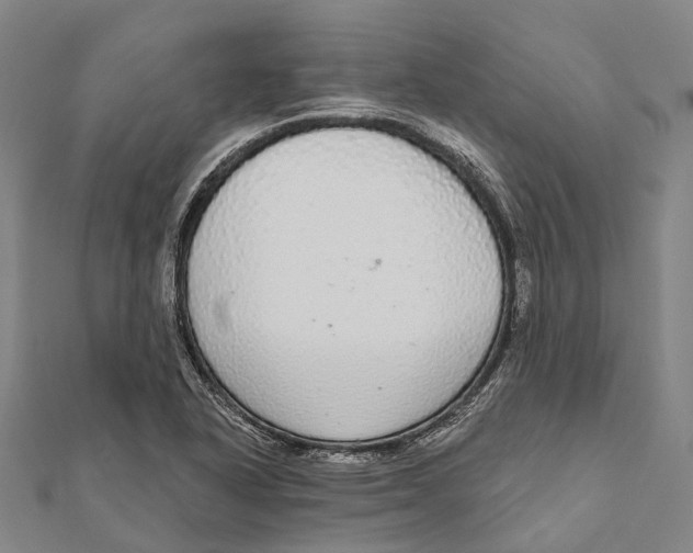 X0000111581318200908131310