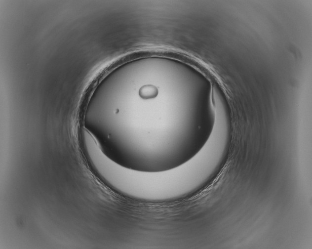 X0000111581319200908131310