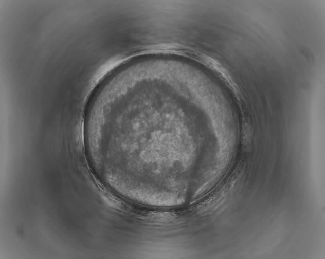 X0000111581320200908131310