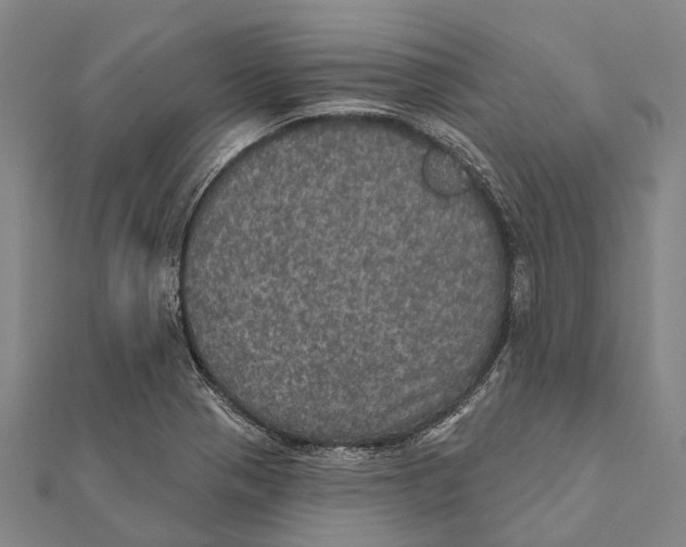 X0000111581321200908131310