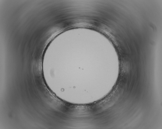 X0000111581322200908131310