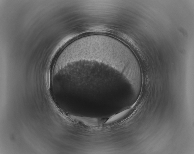 X0000111581323200908131310