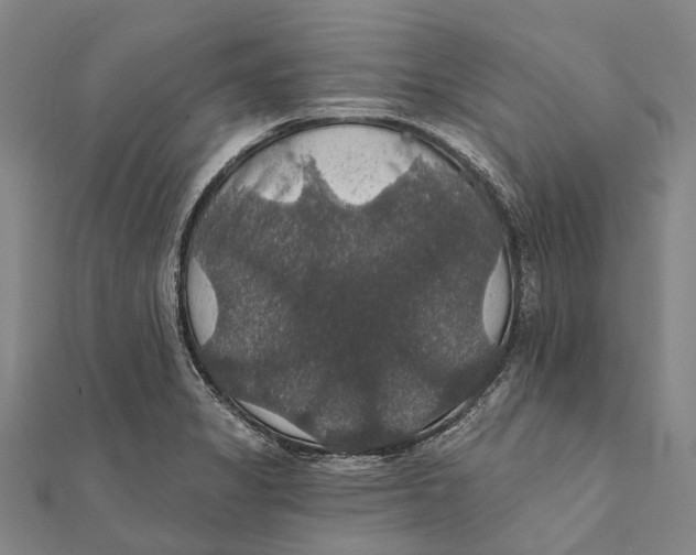 X0000111581325200908131310