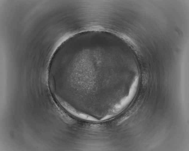 X0000111581326200908131310