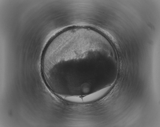 X0000111581327200908131310