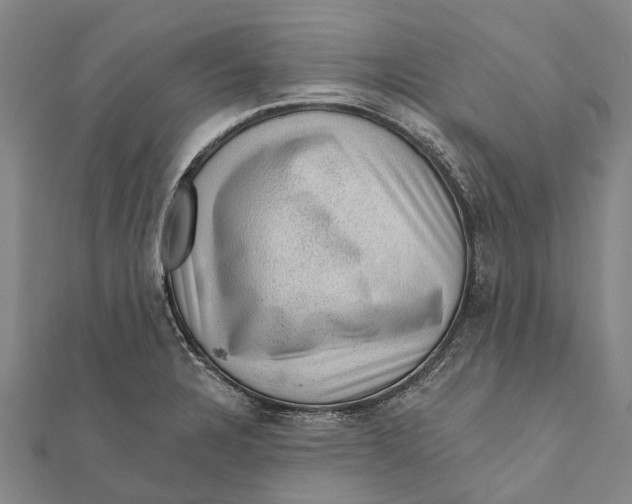 X0000111581328200908131310