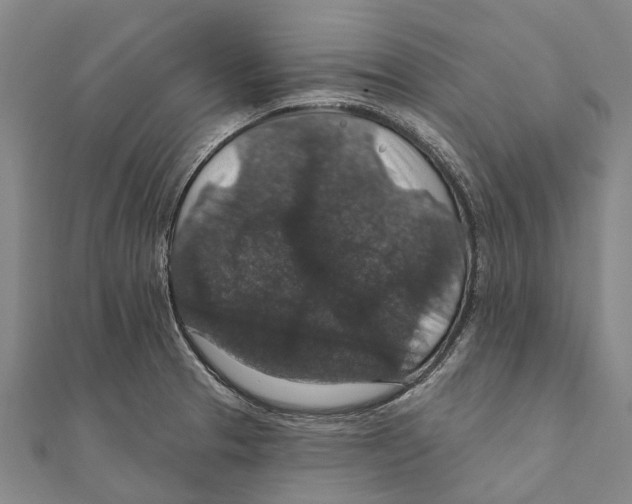 X0000111581329200908131310