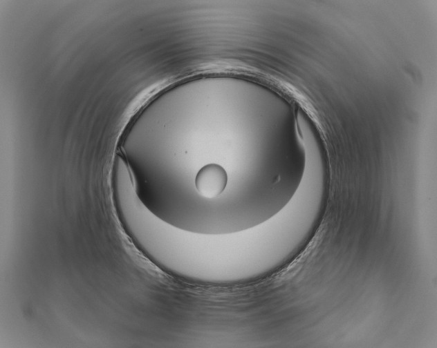 X0000111581330200908131310