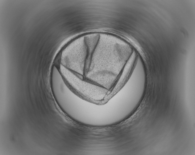 X0000111581332200908131310