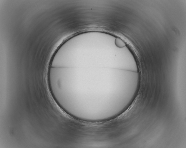 X0000111581333200908131310