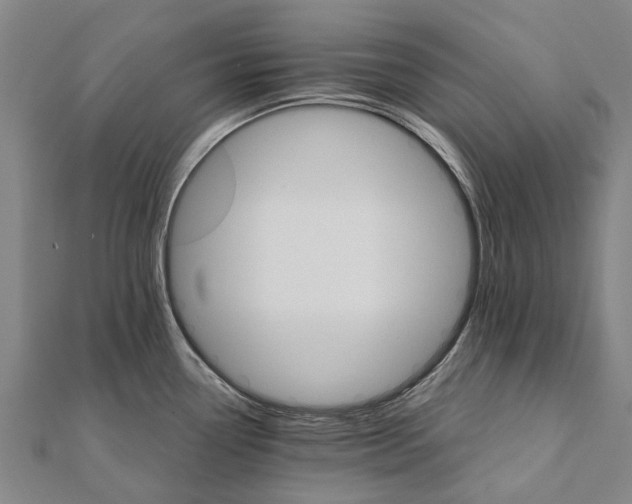 X0000111581338200908131311