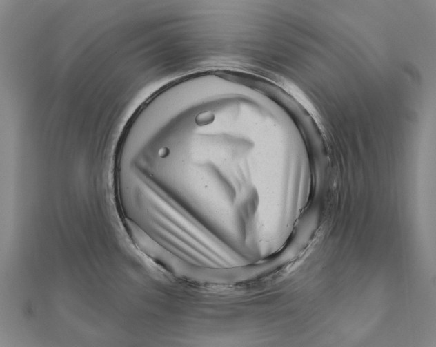 X0000111581339200908131311