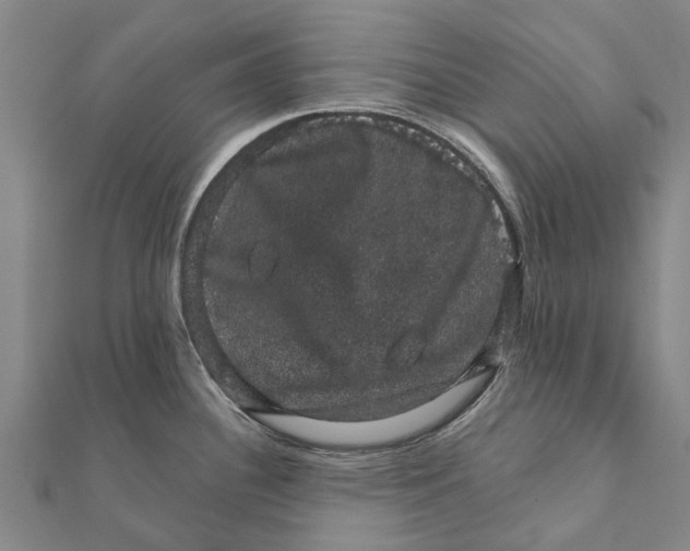 X0000111581340200908131311