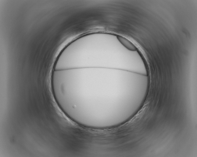 X0000111581341200908131311