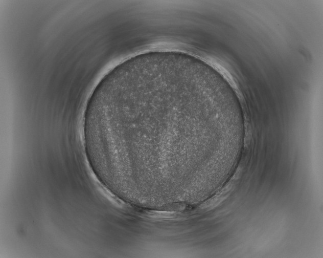 X0000111581342200908131311