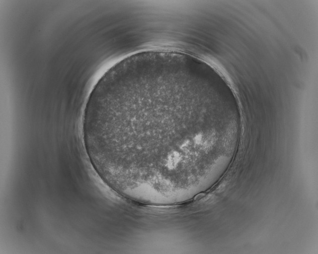 X0000111581344200908131311