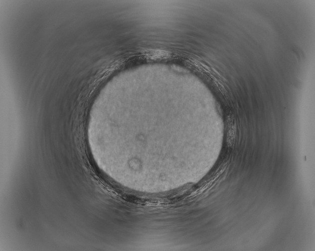 X0000111581345200908131310