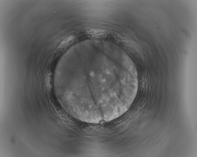 X0000111581346200908131310