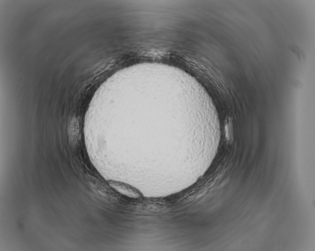 X0000111581347200908131310