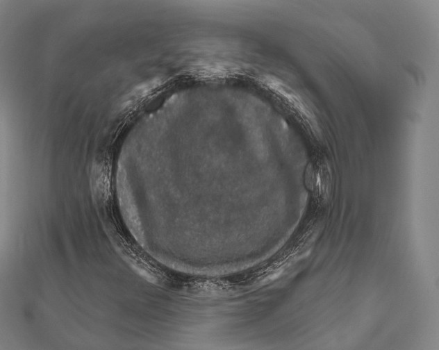 X0000111581348200908131310