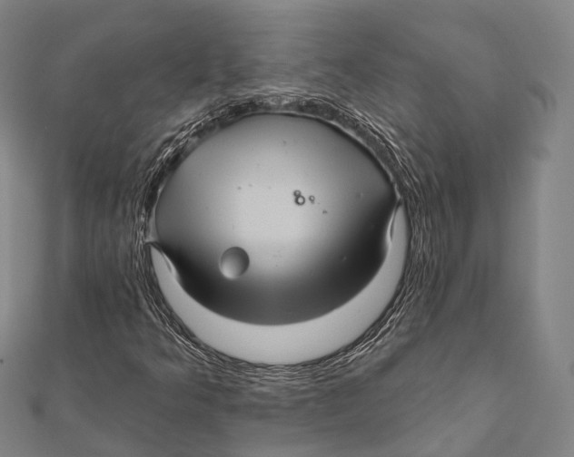 X0000111581349200908131310