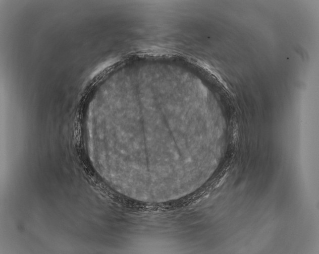 X0000111581350200908131310