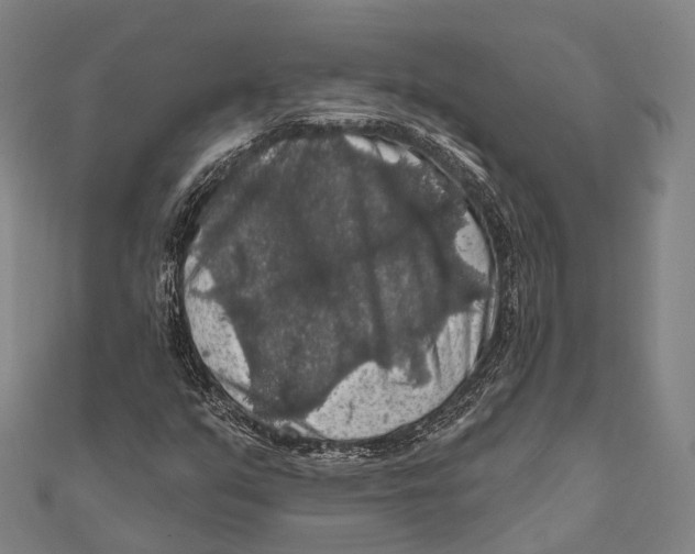 X0000111581351200908131310