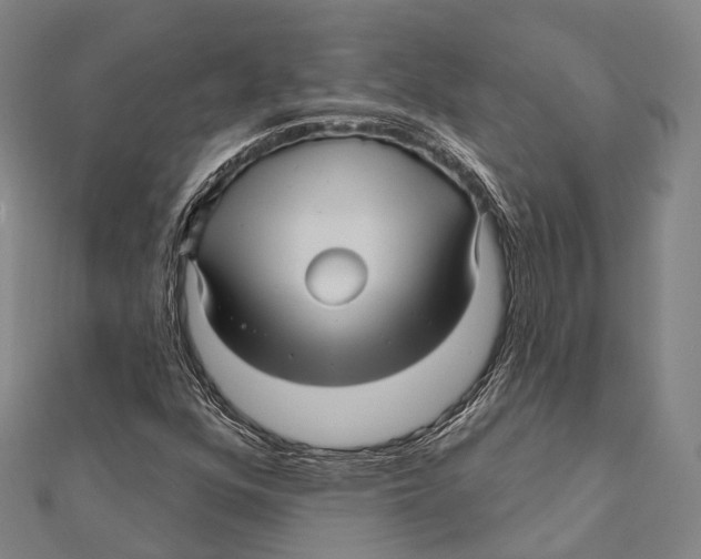 X0000111581352200908131310