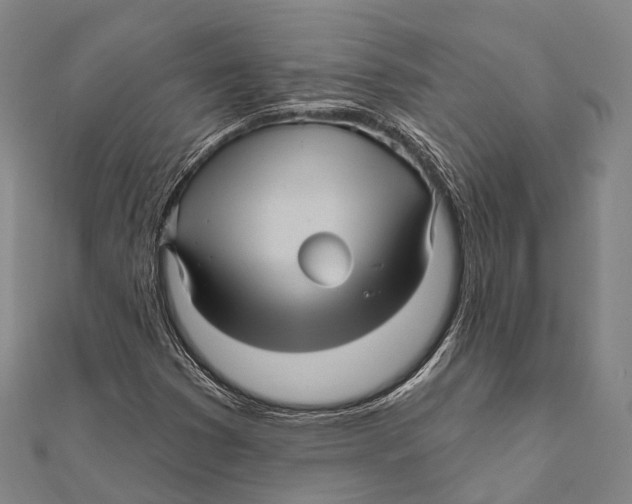 X0000111581353200908131310