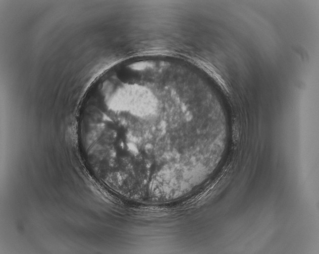 X0000111581356200908131310