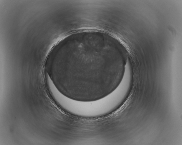 X0000111581357200908131310