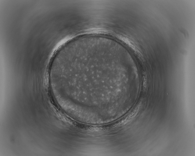 X0000111581358200908131310